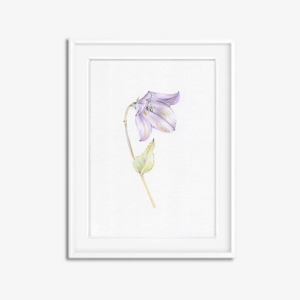 Buy Purple flower watercolor original custom framed